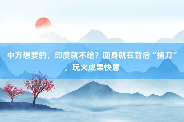 中方想要的，印度就不给？回身就在背后“捅刀”，玩火成果快意