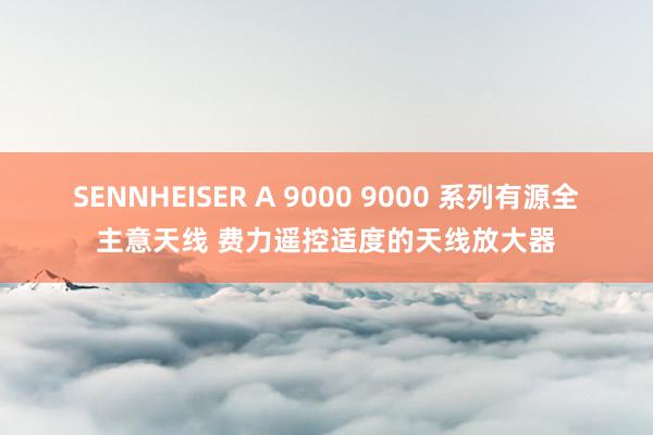 SENNHEISER A 9000 9000 系列有源全主意天线 费力遥控适度的天线放大器