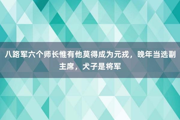 八路军六个师长惟有他莫得成为元戎，晚年当选副主席，犬子是将军