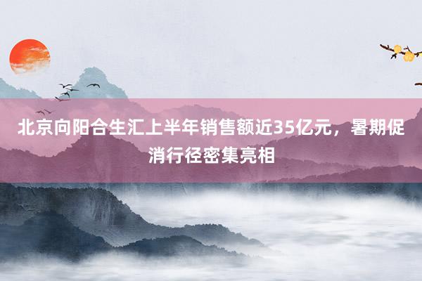 北京向阳合生汇上半年销售额近35亿元，暑期促消行径密集亮相