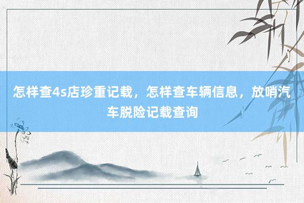 怎样查4s店珍重记载，怎样查车辆信息，放哨汽车脱险记载查询