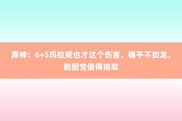 原神：6+5玛拉妮也才这个伤害，确乎不如龙，跑图党值得抽取