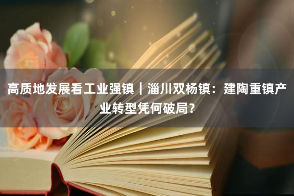 高质地发展看工业强镇｜淄川双杨镇：建陶重镇产业转型凭何破局？