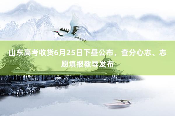 山东高考收货6月25日下昼公布，查分心志、志愿填报教导发布