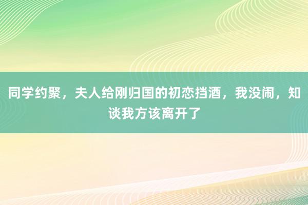 同学约聚，夫人给刚归国的初恋挡酒，我没闹，知谈我方该离开了